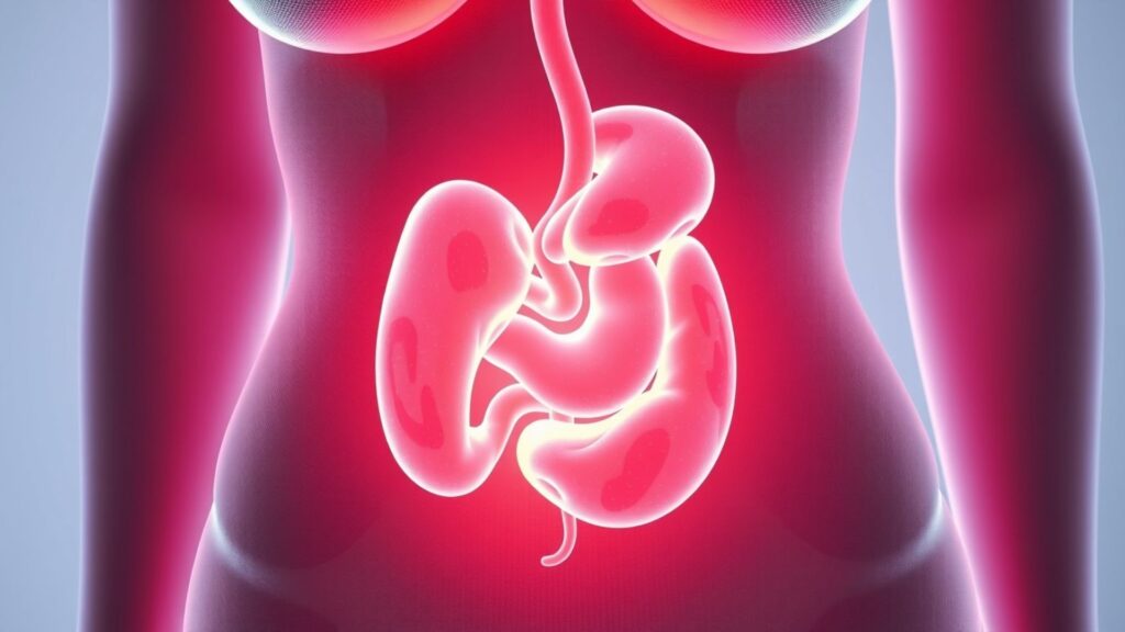 What Is Visceral Obesity in Women Hidden Belly Fat